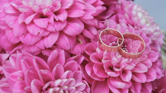 Wedding rings are on pink flowers, Wedding attributes, background