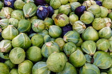 Fototapeta na wymiar Head cabbage harvest