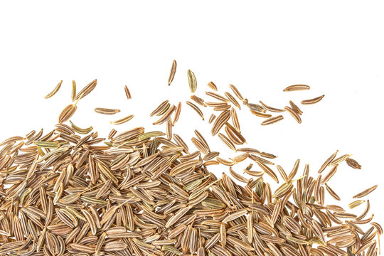 Cumin seeds isolated on white background