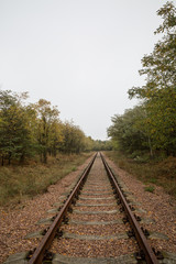 Fototapeta premium Schienen der Eisenbahn
