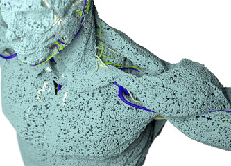 Human anatomy model sculpture made from small particles. Exaggerated cells or molecules of the human body building blocks. 3D illustration.