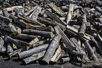 Firewood