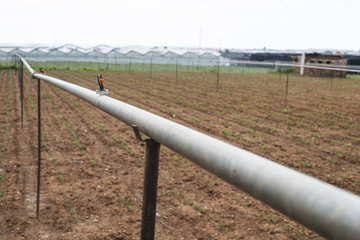 Agriculture watering tubes