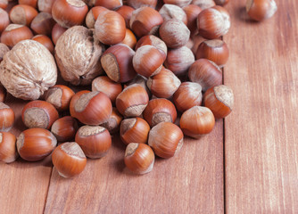 Walnuts and hazelnuts on wooden background