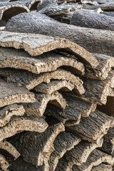 Pile of bark from cork
