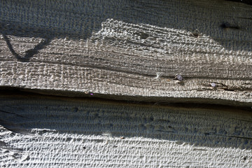 Wood texture 1
