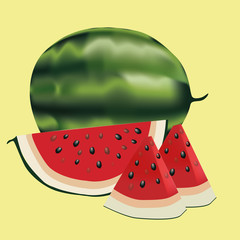 Watermelon. Vector illustration.