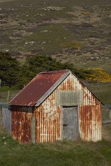 Farm buildings at Carcass Island Settlement in the Falkland Islands.