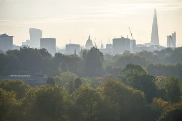 Tuinposter City skyline view of London, England with autumn trees on a misty morning as viewed from a North London park © lazyllama