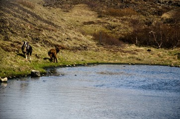 heiße Quellen auf Island

