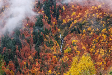 Landscape beautiful autumn nature on the hillside with a waterfall and a mountain creek. Caucasus Mountains, Dombay