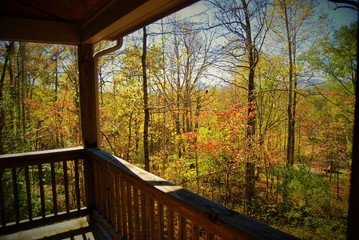 Autumn Colors, Virginia, USA