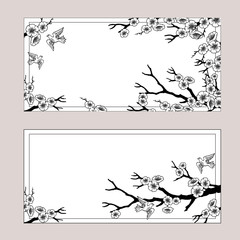 Banners with sakura blossoms and birds. Black and white eps outlined illustration.