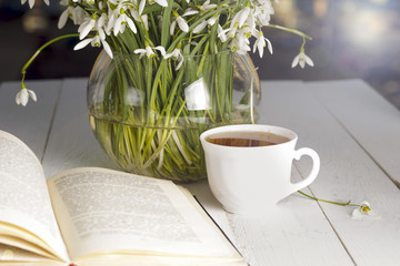 flower on the book in front of the window in the morning