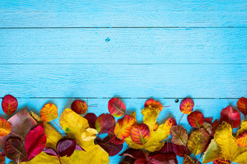 Colorful autumn leaves, over a wooden background