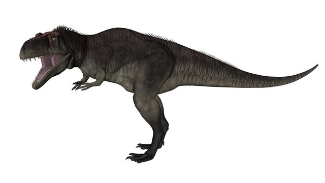 Tyrannotitan - 3D render