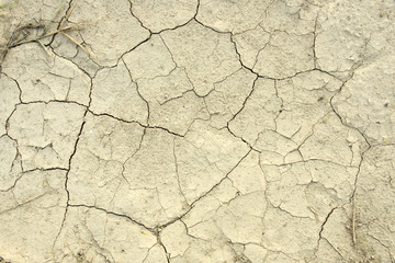 Dry brown cracked earth texture