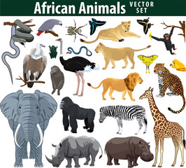 Wild african animals set with zebra ostrich lion rhinoceros hippo snake leopard vulture parrot gorilla butterflies giraffe frog isolated vector illustration