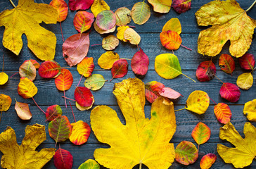 Fototapeta na wymiar Colorful autumn leaves, over a wooden background