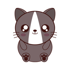 cute cat kawaii style vector illustration design