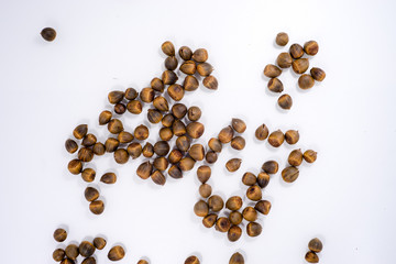 Roasted seeds of Lithocarpus fruit on white background