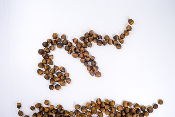Roasted seeds of Lithocarpus fruit on white background