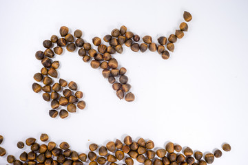 Roasted seeds of Lithocarpus fruit on white background