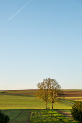 Fototapeta na wymiar Agrarlandschaft im Herbst