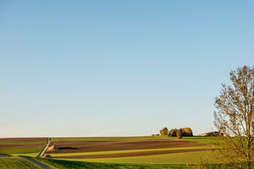 Naklejka premium Agrarlandschaft im Herbst