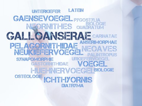 Galloanserae