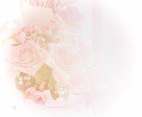 Pink roses pastel background with copy space