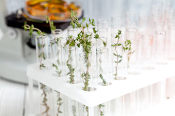 Test samples of plants in the tubes