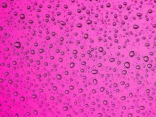 Rian drops on glass, Pink color background.