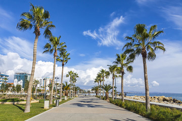Fototapeta premium Promenade alley at Molos Park in center of Limassol, Cyprus