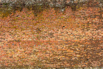 old red-orange brick wall, background texture 9