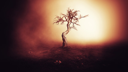 Spooky Tree Dark Night ./Halloween  background.