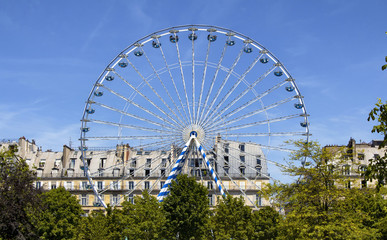 Fototapeta premium View of Ferris wheel, trees and buildings at Jardin Des Tuileries in Paris.