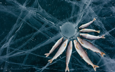 Winter fishing on the lake.