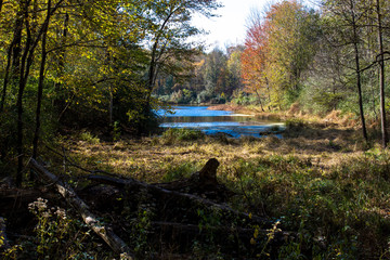 Muscatatuck National Wildlife Refuge in Indiana