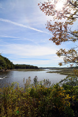 Fototapeta na wymiar Fall on the Maine Coast