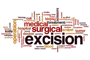 Excision word cloud