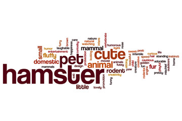 Fototapeta premium Hamster word cloud