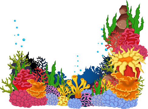 beauty corals with underwater view background