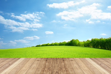 green field with blue sky and wooden planks on floor