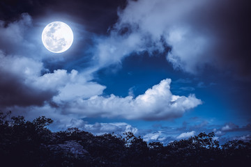 Silhouettes d& 39 arbre et ciel nocturne avec nuages, pleine lune lumineuse