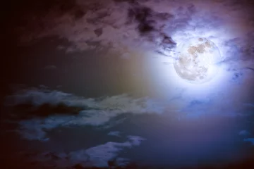 Fototapete Vollmond und Bäume Nachthimmel mit Wolken und heller Vollmond mit glänzendem