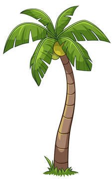 Coconut tree cartoon style Stock Vector | Adobe Stock