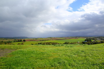 北海道、美瑛の風景