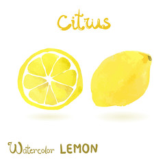 Watercolor isolated lemon. whole and slice
