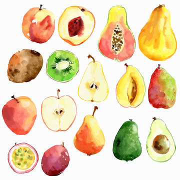 Bright vector watercolor hand drawn fruits: apple, pear, peach, 